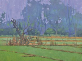 Into the wilderness