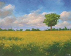 A lone tree of the meadows