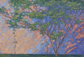 Tree in the garden