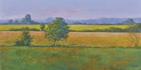 Countryside Morning