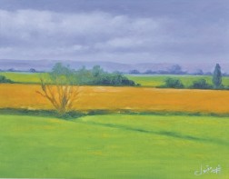 Meadows in sunlight