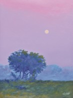 Misty meadows at dawn