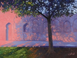 Day at the Shalimar Gardens